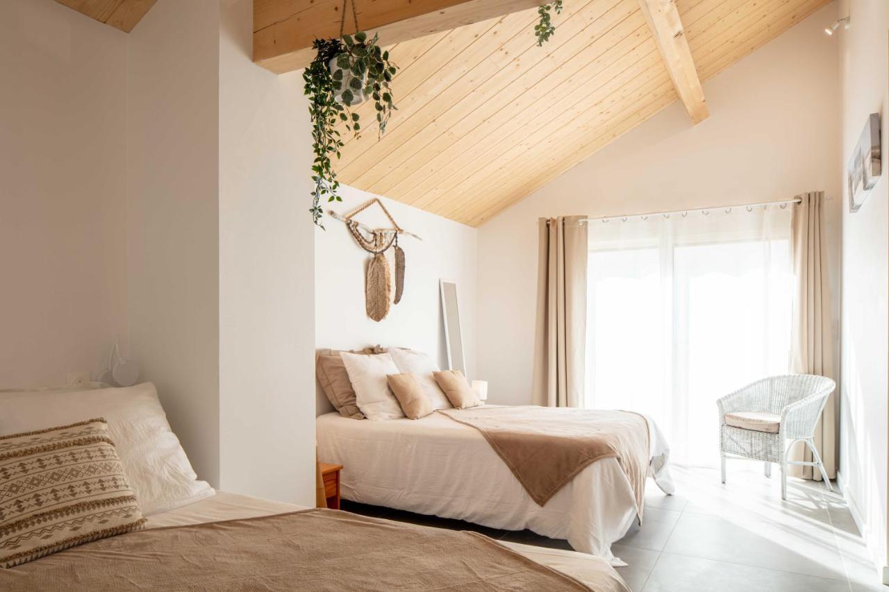 Ted Surf House Bed & Breakfast Capbreton Exterior photo